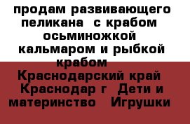продам развивающего пеликана (с крабом ,осьминожкой ,кальмаром и рыбкой,крабом , - Краснодарский край, Краснодар г. Дети и материнство » Игрушки   